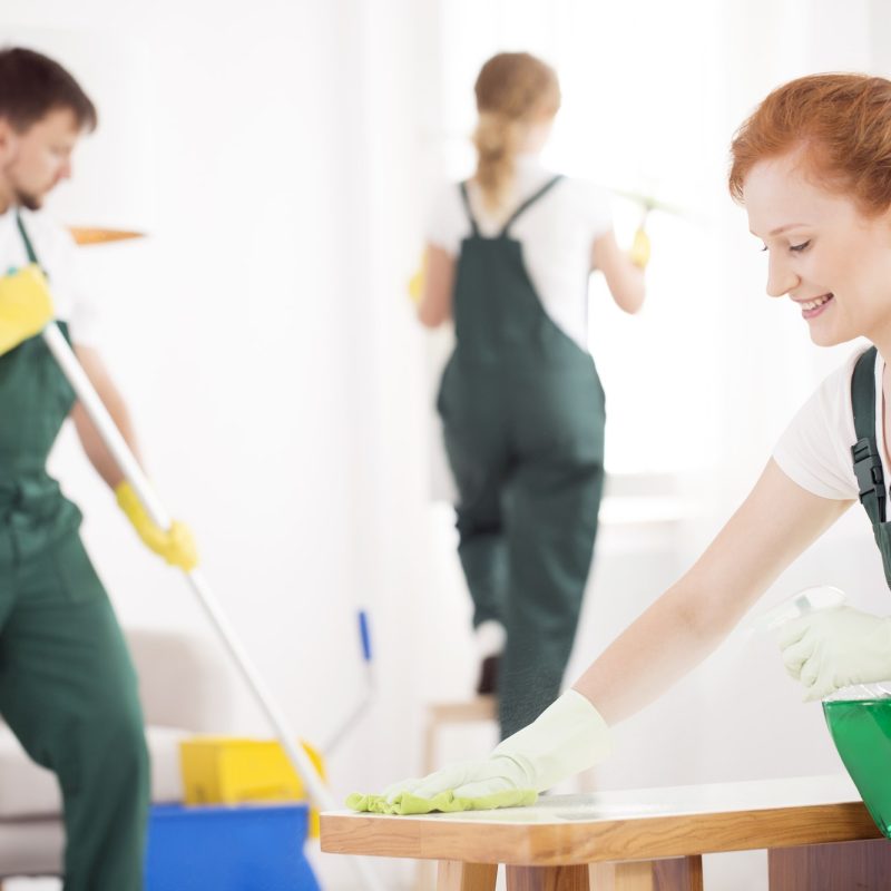 cleaning-service-during-work-1
