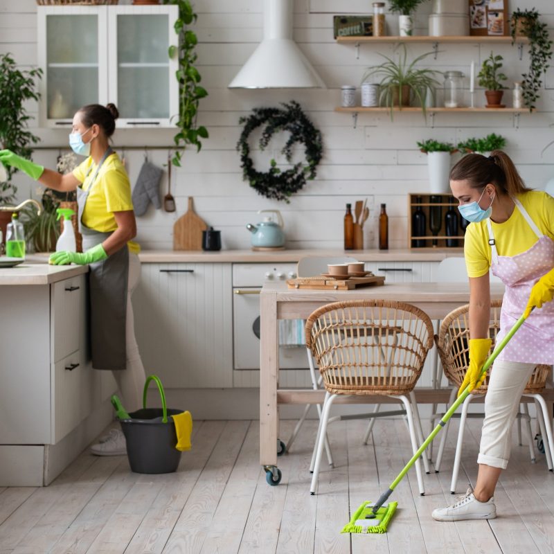 general-cleaning-of-the-kitchen-professional-housekeeping-service-