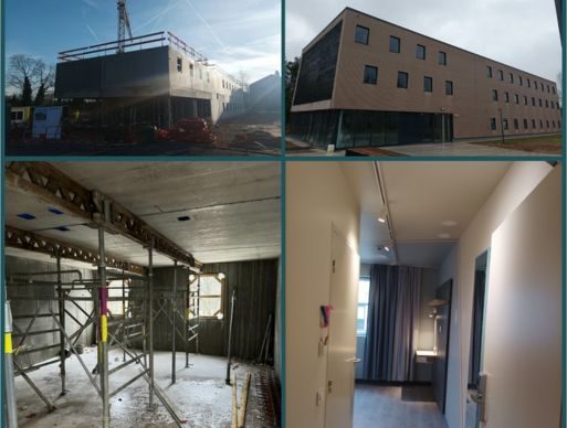 reference_2217 reference_2217