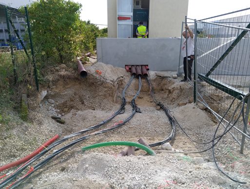 reference_7319 reference_7319